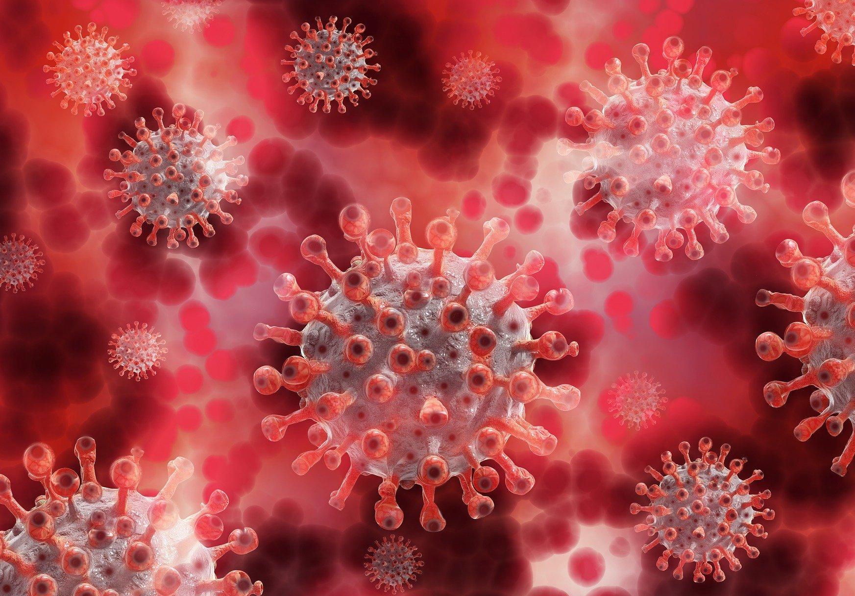 Image showing COVID-19 molecules in red tint